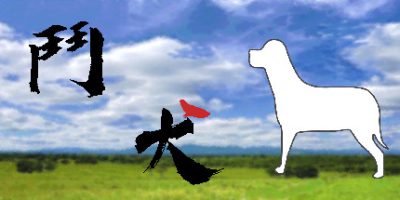 斗犬/鬥犬 Dog Fighting