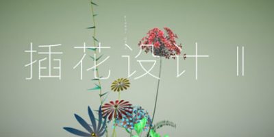 插花设计Ⅱ/插花设计2/Flower Design Two