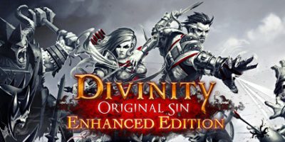 神界：原罪加强版|官方中文|支持手柄|Divinity: Original Sin - Enhanced Edition|神界原罪